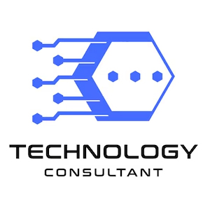IT Consultation Services